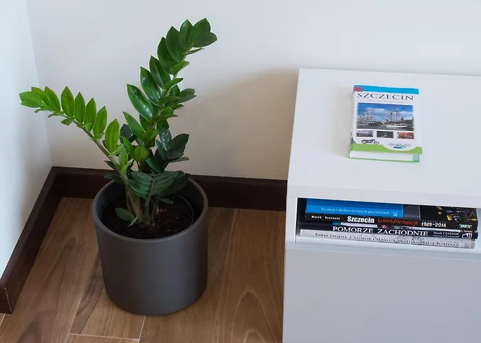 Starowka - Melody 아파트